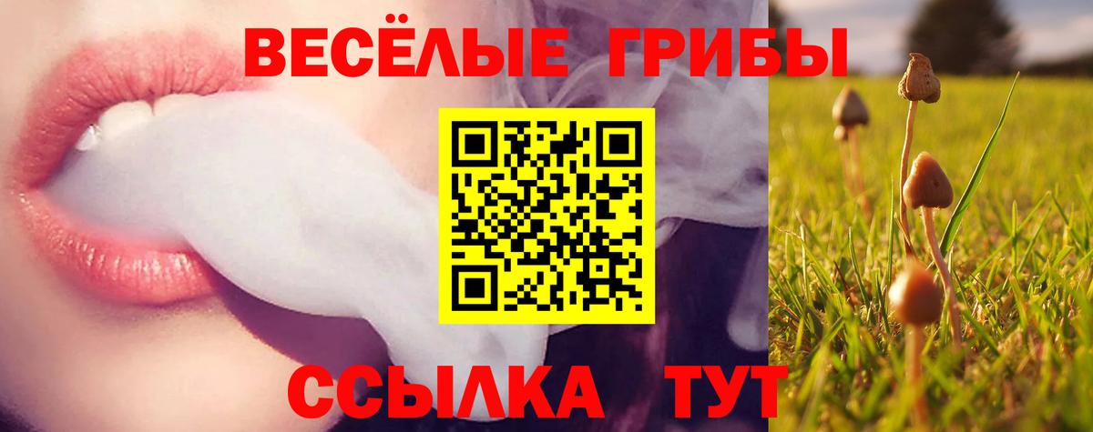 Псилоцибиновые грибы GOLDEN TEACHER  Псилоцибиновые грибы прущие грибы  Вход с VPN  Моршанск 